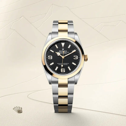 Rolex エクスプローラー 36  オイスター、36 mm、オイスタースチール＆イエローゴールド  リファレンス 124273  ¥ 1,943,700