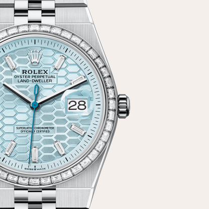 ロレックス ランドドゥエラー 36  オイスター、36 mm、プラチナ、ダイヤモンド  リファレンス m127286tbr-0001